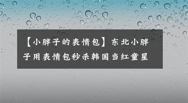 【小胖子的表情包】东北小胖子用表情包秒杀韩国当红童星，一夜之间火爆全国文章配图