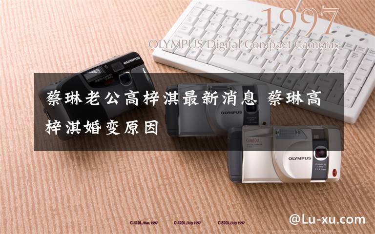 蔡琳老公高梓淇最新消息 蔡琳高梓淇婚变原因文章配图