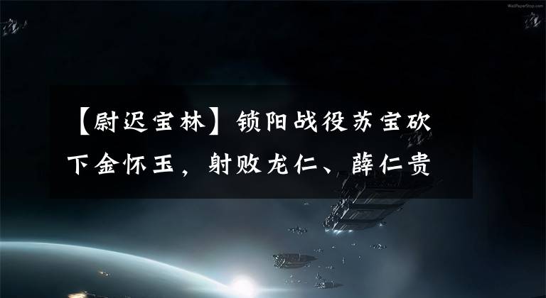 【尉迟宝林】锁阳战役苏宝砍下金怀玉，射败龙仁、薛仁贵、魏、迟宝林兄弟