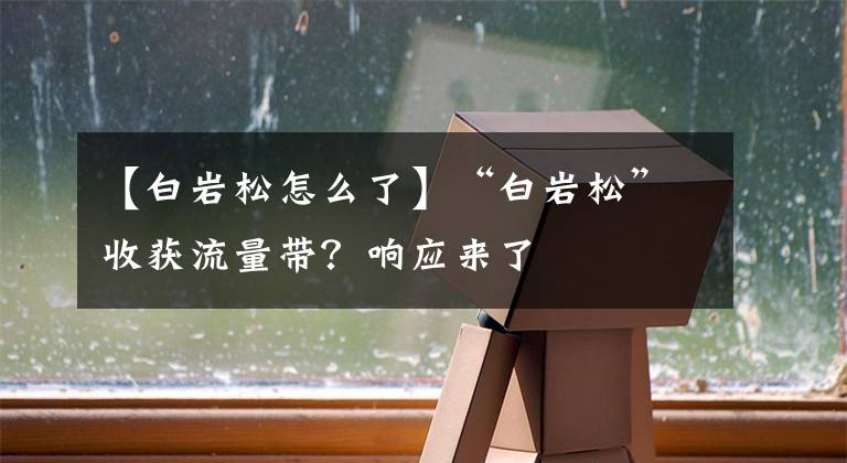 【白岩松怎么了】“白岩松”收获流量带？响应来了