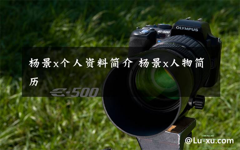 杨景x个人资料简介 杨景x人物简历文章配图