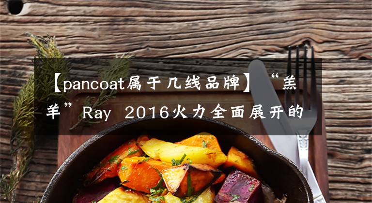 【pancoat属于几线品牌】“羔羊”Ray  2016火力全面展开的上海代表韩国赵彪范科特(Pancoat)