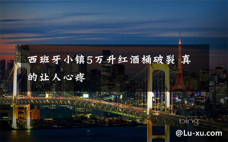西班牙小镇5万升红酒桶破裂 真的让人心疼文章配图