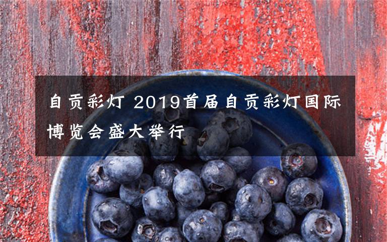 自贡彩灯 2019首届自贡彩灯国际博览会盛大举行