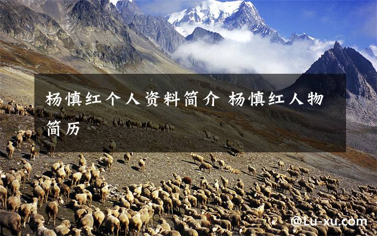 杨慎红个人资料简介 杨慎红人物简历文章配图
