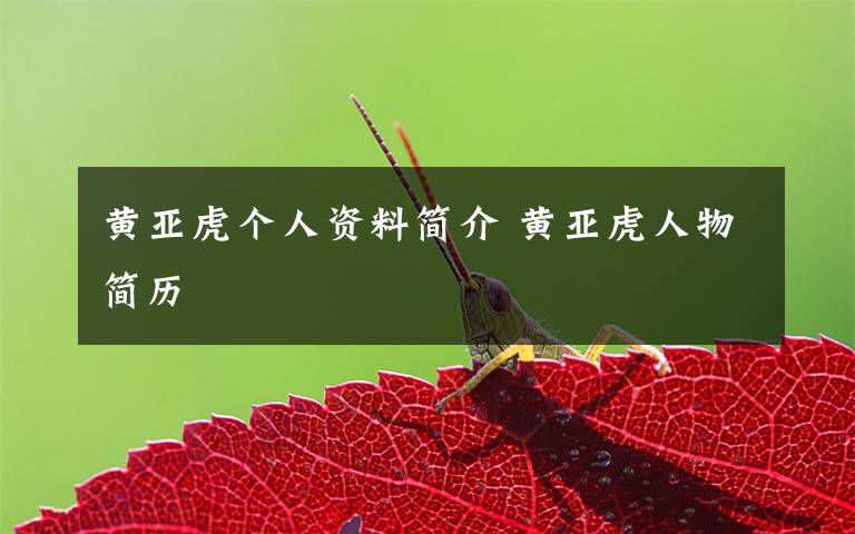 黄亚虎个人资料简介 黄亚虎人物简历文章配图