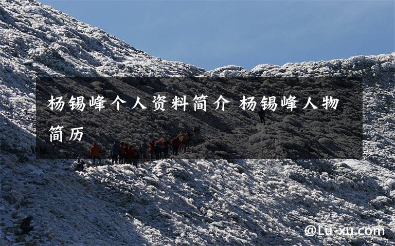 杨锡峰个人资料简介 杨锡峰人物简历文章配图