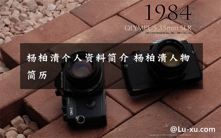 杨柏清个人资料简介 杨柏清人物简历文章配图