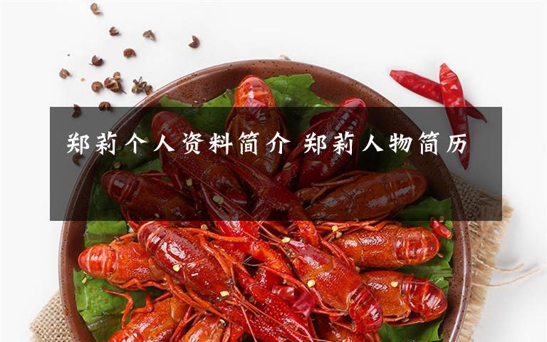 郑莉个人资料简介 郑莉人物简历文章配图