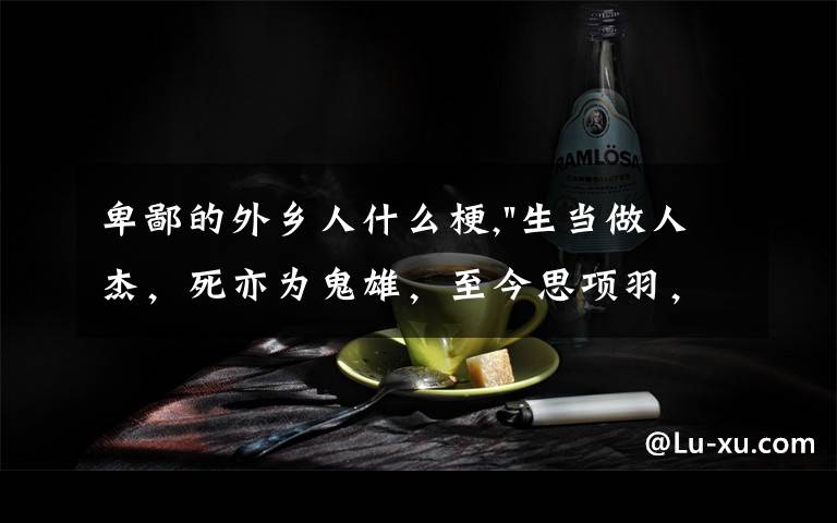 卑鄙的外乡人什么梗,