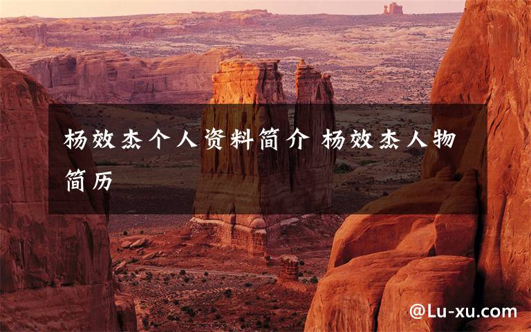 杨效杰个人资料简介 杨效杰人物简历文章配图