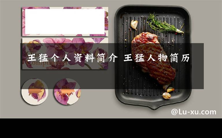 王猛个人资料简介 王猛人物简历文章配图