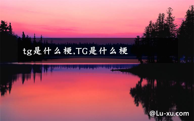 tg是什么梗,TG是什么梗