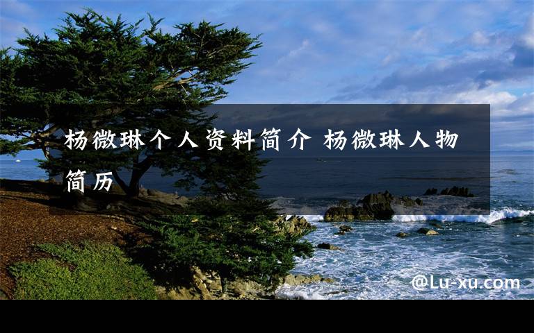 杨微琳个人资料简介 杨微琳人物简历文章配图