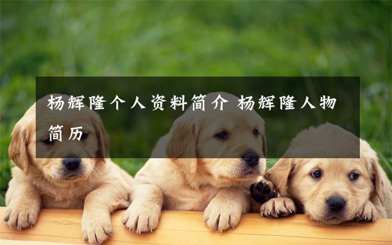 杨辉隆个人资料简介 杨辉隆人物简历文章配图