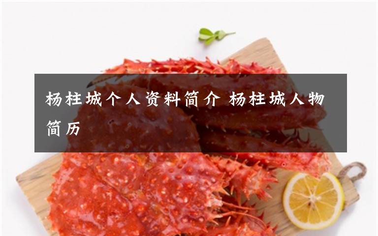 杨柱城个人资料简介 杨柱城人物简历文章配图