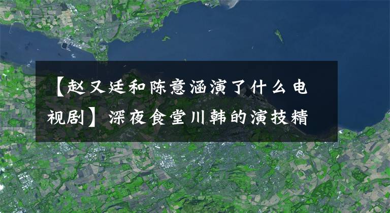 【赵又廷和陈意涵演了什么电视剧】深夜食堂川韩的演技精华任性的小功臣，其实话剧外人早就崩溃了。