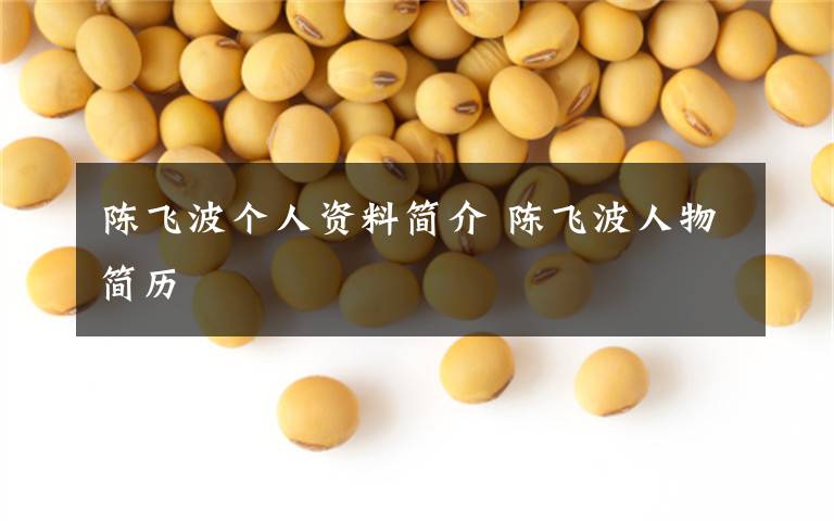 陈飞波个人资料简介 陈飞波人物简历文章配图