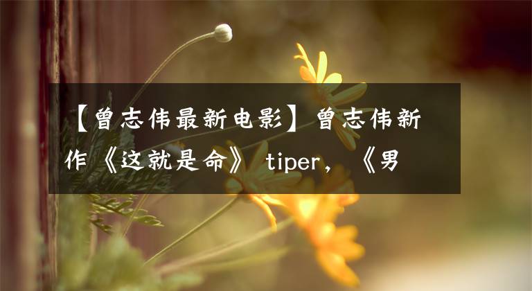 【曾志伟最新电影】曾志伟新作《这就是命》 tiper，《男人38号》王欣逆袭成为主角。