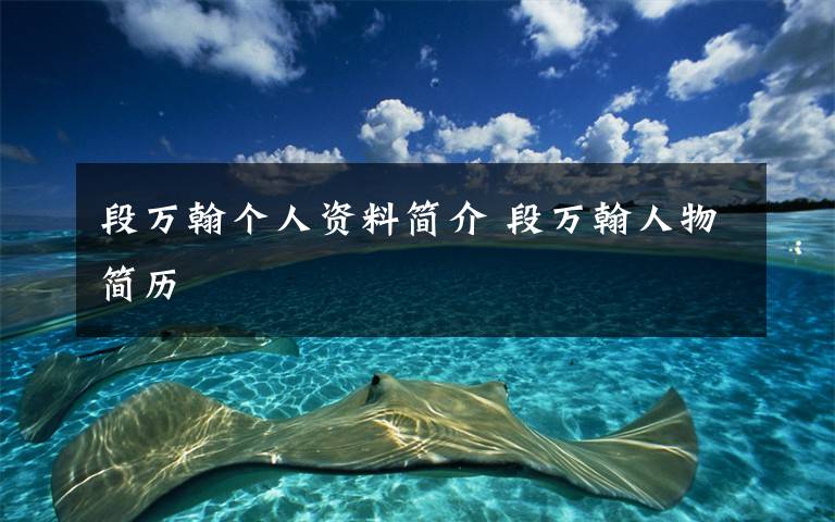 段万翰个人资料简介 段万翰人物简历文章配图