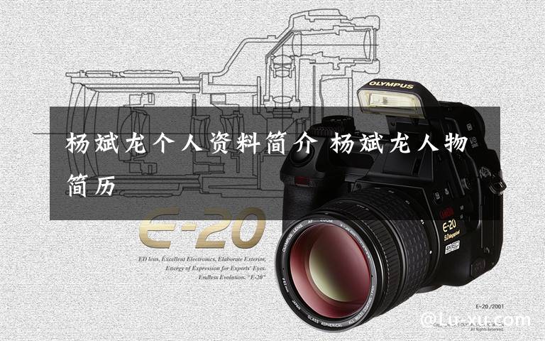 杨斌龙个人资料简介 杨斌龙人物简历文章配图