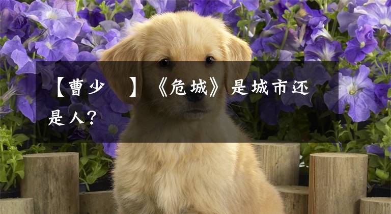 【曹少璘】《危城》是城市还是人？文章配图