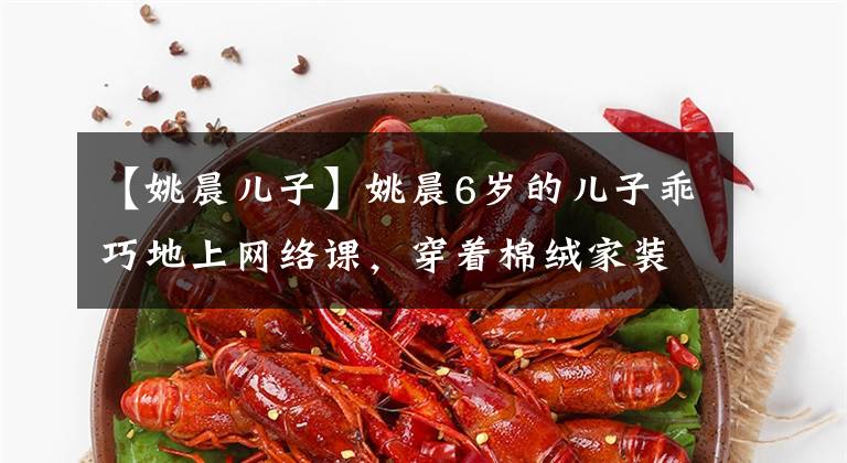 【姚晨儿子】姚晨6岁的儿子乖巧地上网络课，穿着棉绒家装，气质文雅，长相像爸爸文章配图