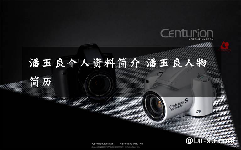 潘玉良个人资料简介 潘玉良人物简历文章配图