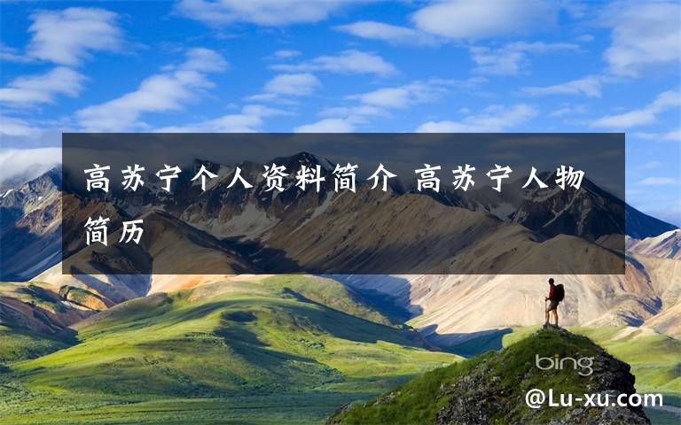 高苏宁个人资料简介 高苏宁人物简历文章配图