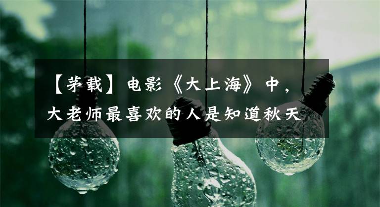 【茅载】电影《大上海》中，大老师最喜欢的人是知道秋天的人还是阿宝？