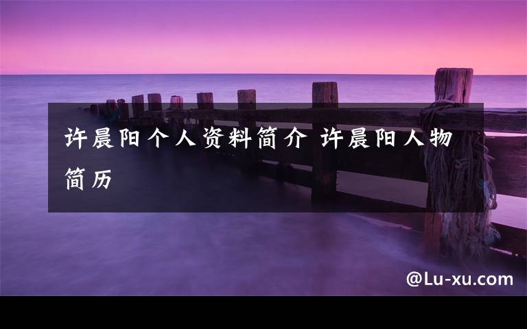 许晨阳个人资料简介 许晨阳人物简历文章配图