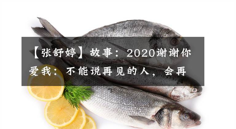 【张舒婷】故事：2020谢谢你爱我：不能说再见的人，会再见的。