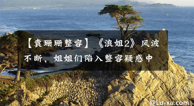 【袁珊珊整容】《浪姐2》风波不断，姐姐们陷入整容疑惑中，整容脸最终没能战胜原来的脸。文章配图
