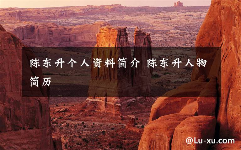 陈东升个人资料简介 陈东升人物简历文章配图