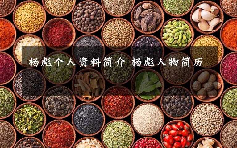 杨彪个人资料简介 杨彪人物简历文章配图