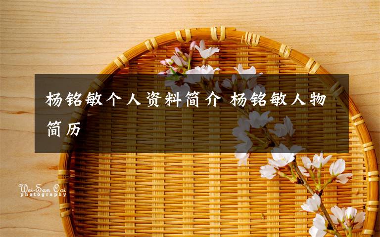 杨铭敏个人资料简介 杨铭敏人物简历文章配图