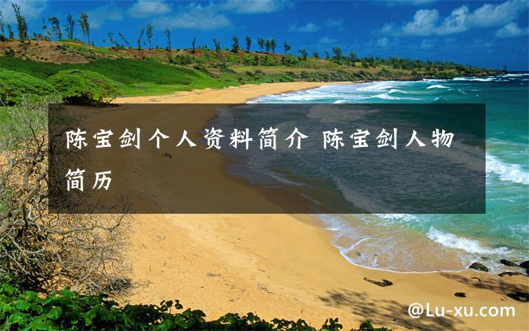 陈宝剑个人资料简介 陈宝剑人物简历文章配图
