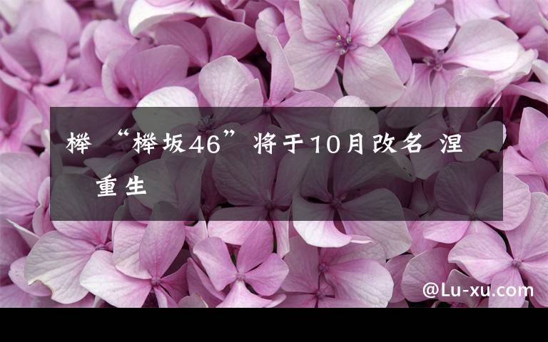 榉 “榉坂46”将于10月改名 涅槃重生