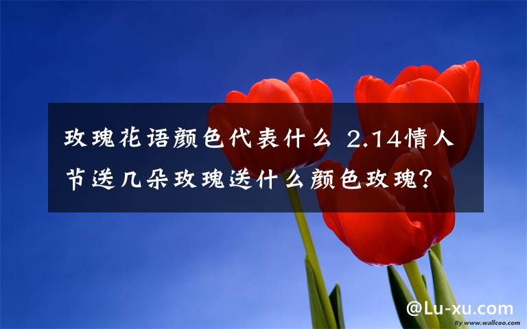 玫瑰花语颜色代表什么 2.14情人节送几朵玫瑰送什么颜色玫瑰？情人节送玫瑰花的花语大全