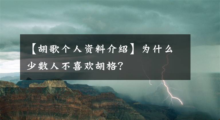 【胡歌个人资料介绍】为什么少数人不喜欢胡格？