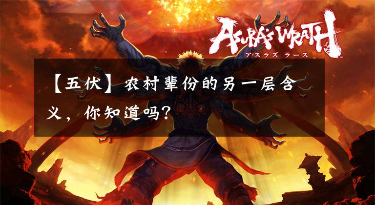 【五伏】农村辈份的另一层含义，你知道吗？文章配图