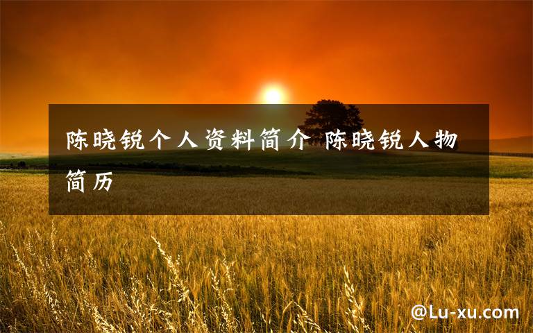 陈晓锐个人资料简介 陈晓锐人物简历文章配图