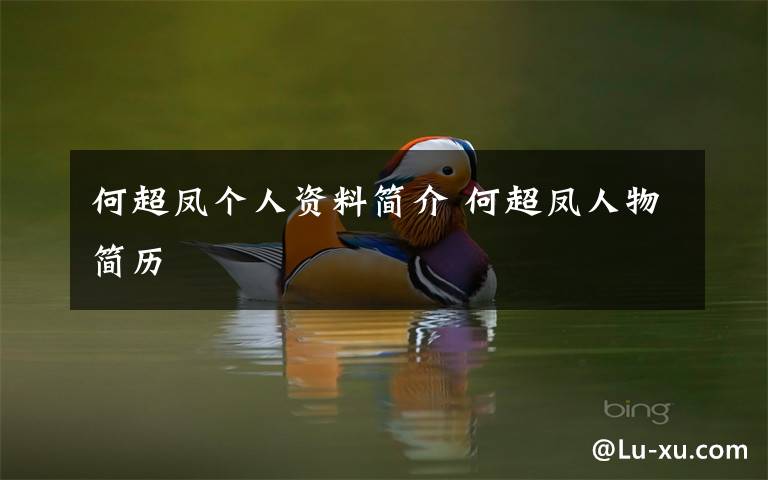 何超凤个人资料简介 何超凤人物简历