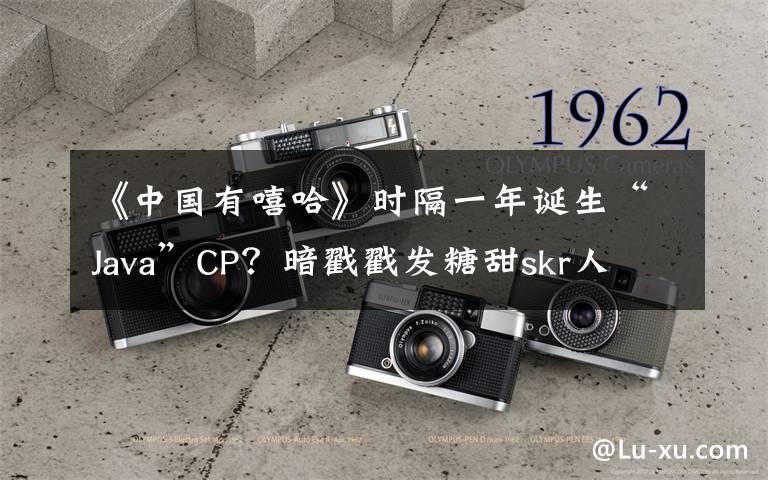《中国有嘻哈》时隔一年诞生“Java”CP？暗戳戳发糖甜skr人文章配图