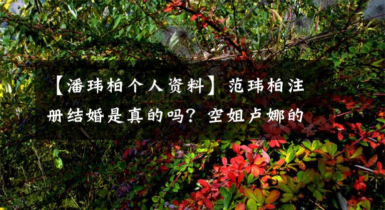 【潘玮柏个人资料】范玮柏注册结婚是真的吗？空姐卢娜的头像被曝为凤子结婚