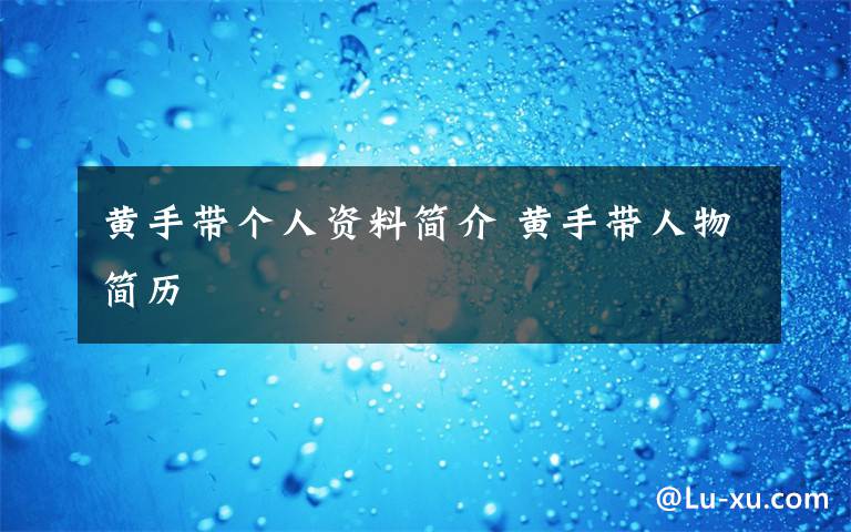 黄手带个人资料简介 黄手带人物简历文章配图