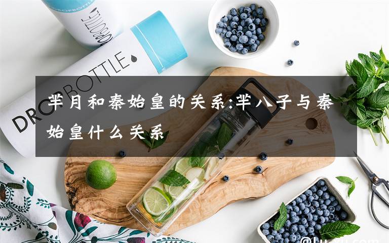 芈月和秦始皇的关系:芈八子与秦始皇什么关系