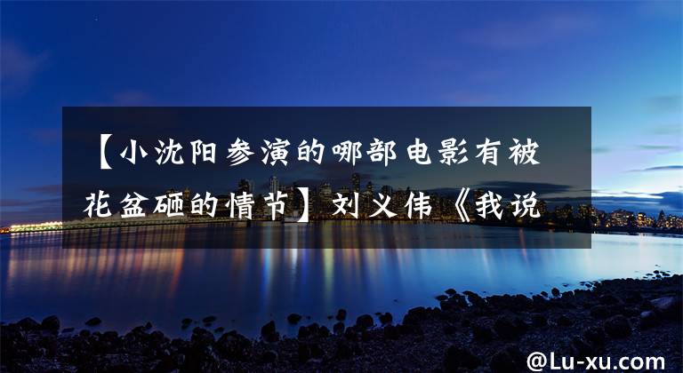 【小沈阳参演的哪部电影有被花盆砸的情节】刘义伟《我说的都是真的》最终预告的小沈阳“舞者”造型高能出道