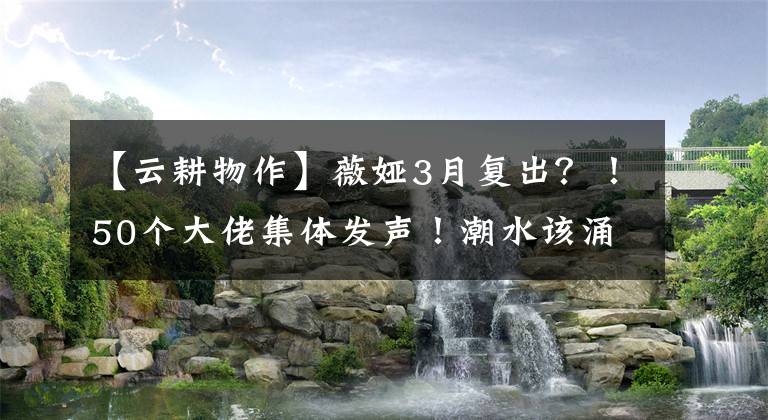 【云耕物作】薇娅3月复出？！50个大佬集体发声！潮水该涌向何处？