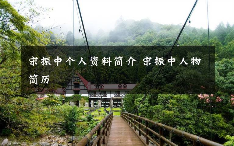 宋振中个人资料简介 宋振中人物简历